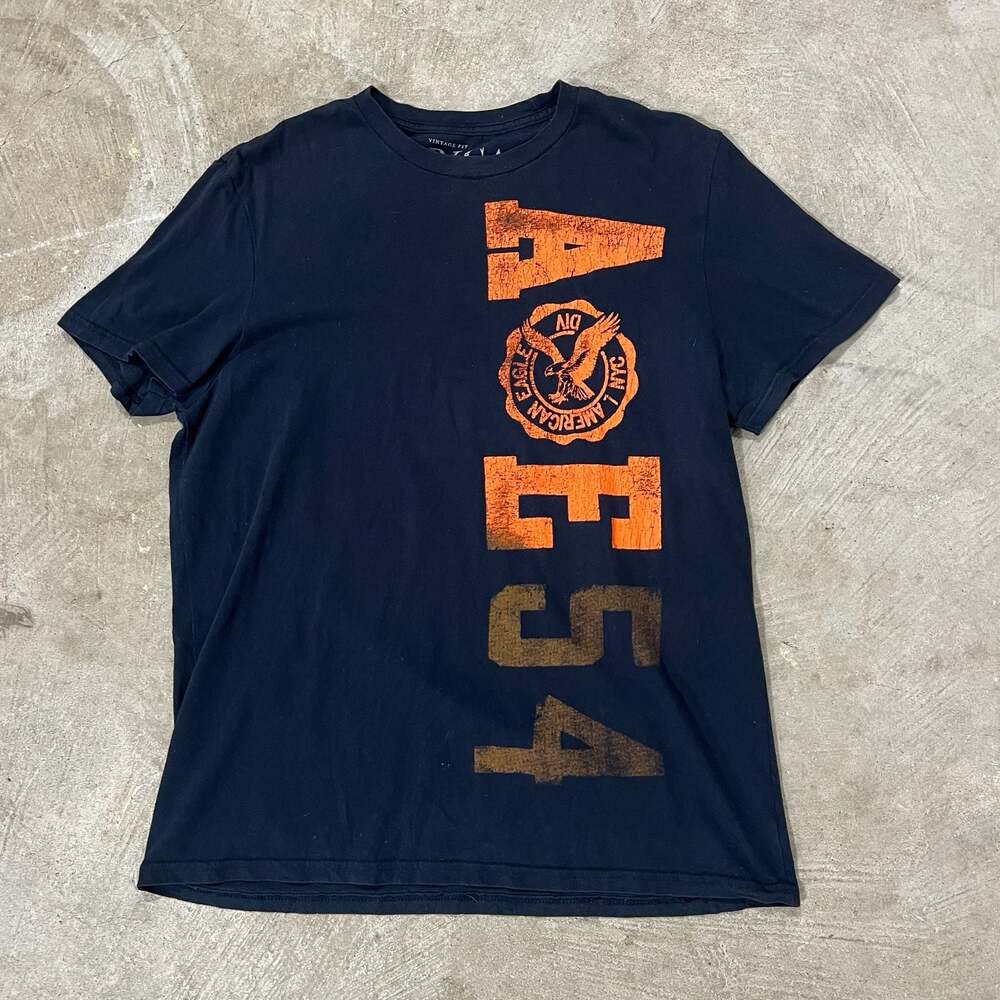 Vintage Y2K 2000s American Eagle Outfitters Vintage Fit Graphic Logo T-Shirt L